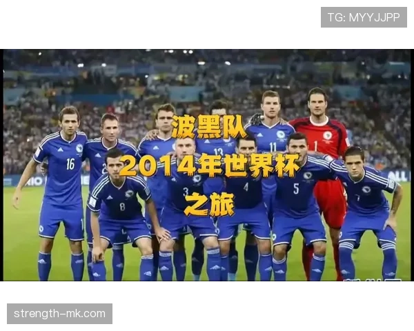 波黑2026世界杯晋级形势分析 能否突破历史最佳战绩